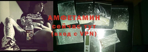 ГАЛЛЮЦИНОГЕННЫЕ ГРИБЫ Каменка