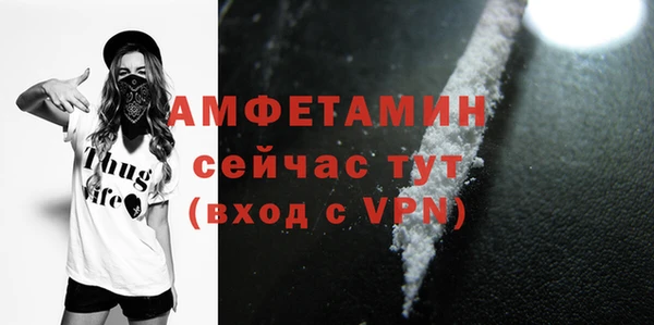 первитин Инсар