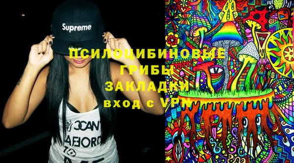 первитин Инсар