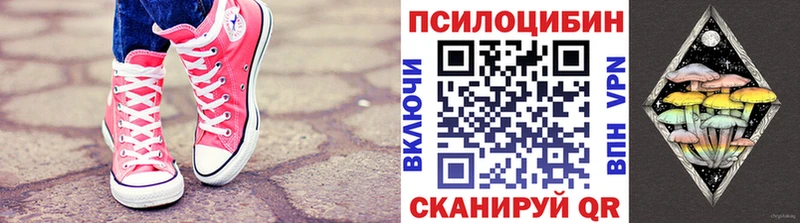 Галлюциногенные грибы Psilocybine cubensis  Купить где  Костомукша 
